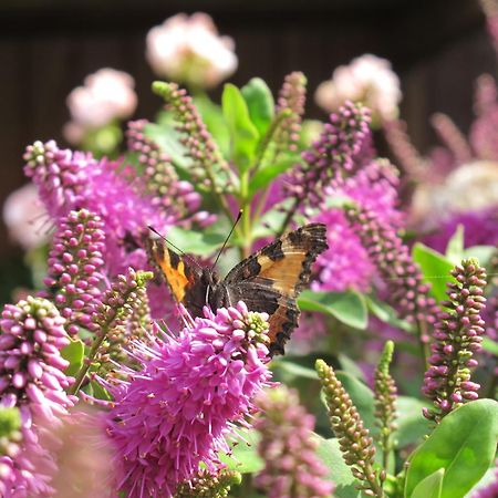 Birkende Bed And Breakfast Langeskov Bagian luar foto