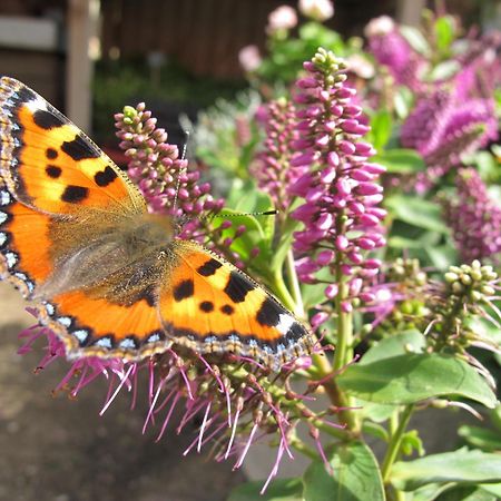 Birkende Bed And Breakfast Langeskov Bagian luar foto