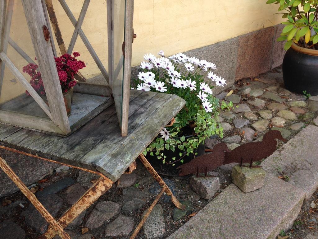 Birkende Bed And Breakfast Langeskov Bagian luar foto