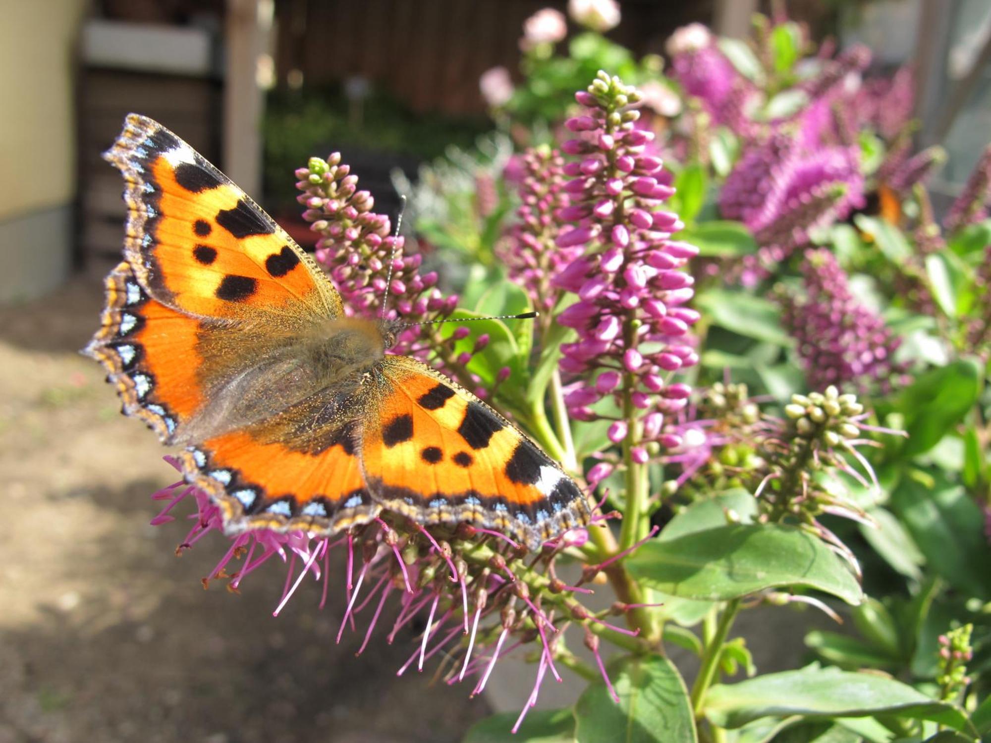 Birkende Bed And Breakfast Langeskov Bagian luar foto