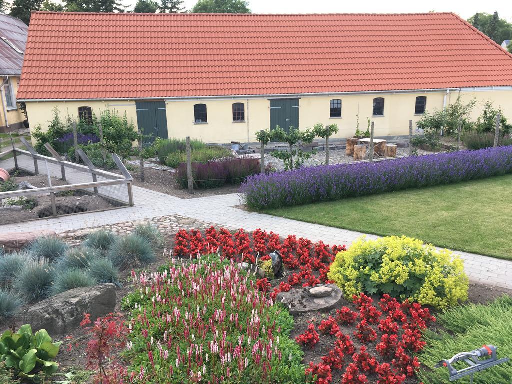 Birkende Bed And Breakfast Langeskov Bagian luar foto