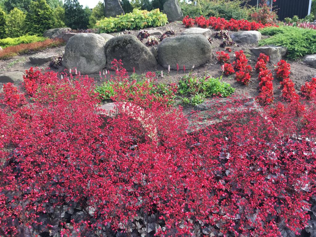 Birkende Bed And Breakfast Langeskov Bagian luar foto