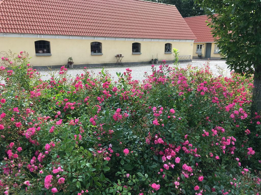 Birkende Bed And Breakfast Langeskov Bagian luar foto